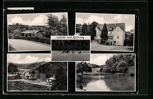 AK Rom bei Morsbach, Gasthof und Pension Heinrich Klein, Uferpartie, Rehe auf einer Wiese