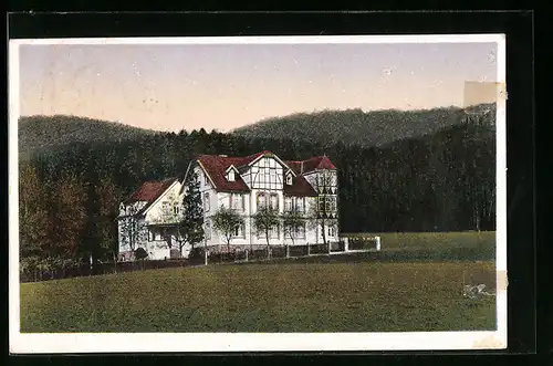 AK Steinbergen /Wesergebirge, Pension Waldfrieden, Bes. Fr. Möller