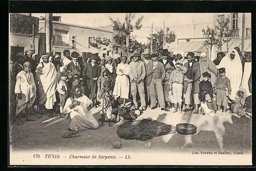 AK Tunis, Charmeur de Serpents, Schlangenbeschwörer