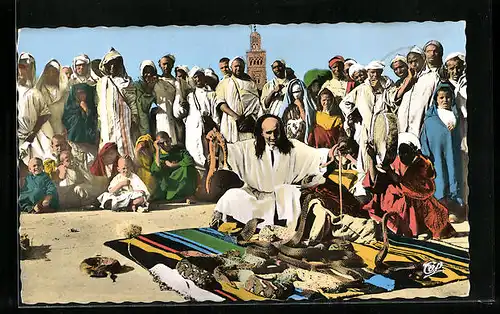 AK Marrakech, Charmeur de Serpents, Schlangenbeschwörer