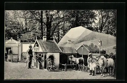 AK Schäfer`s Märchenstadt Lilliiput, Liliputaner mit einem Pony