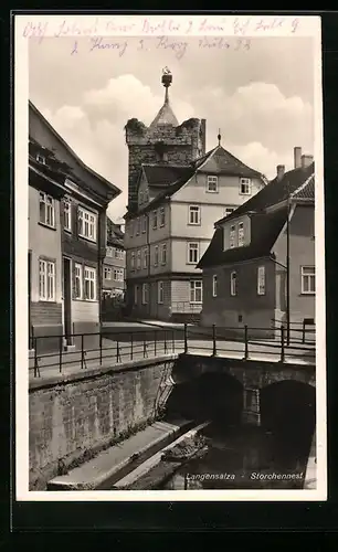 AK Langensalza, Strassenpartie mit Storchennest