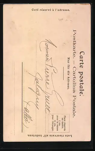 Lithographie Appenzell, Gesamtansicht, Weberinnen in Trachten, Wappen