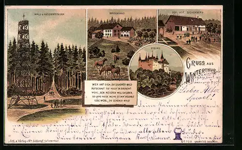 Lithographie Winterthur, Gasthaus Hof Eschenberg, Aussichtsturm und Wald, Bruderhaus mit Wildgehege