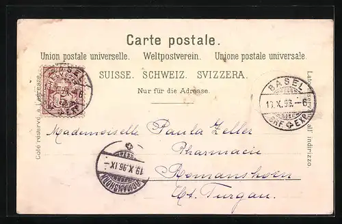 Lithographie Basel, Stadtpanorama mit Brücken, Münster, Rathhaus