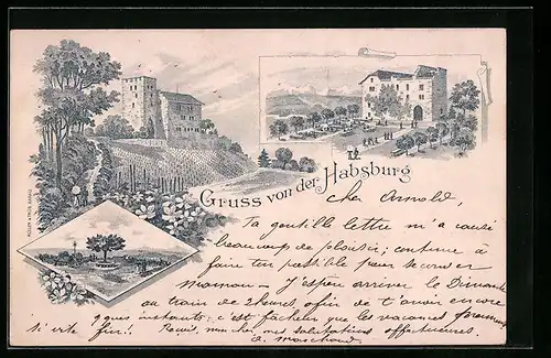 Lithographie Habsburg, Burg mit Zugangsweg, Gasthaus mit Garten