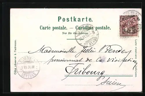 Lithographie Basel, Teilansicht aus der Vogelschau, Modehaus Julius Braun