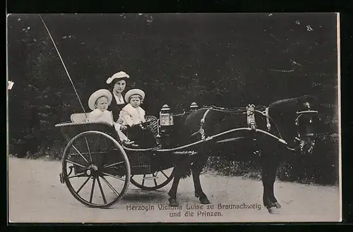 AK Victoria Louise Herzogin von Braunschweig mit Prinzen in einem Ponywagen