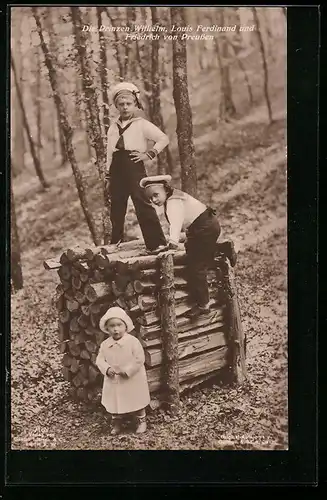 AK Die Prinzen Wilhelm, Louis Ferdinand und Friedrich Georg von Preussen