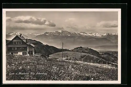 AK Wald, Panorama mit Gast- u. Kurhaus Alp Scheidegg