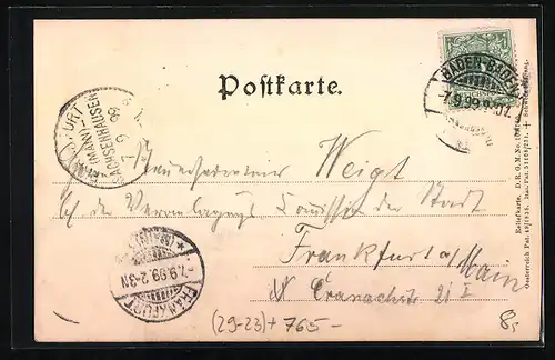 Relief-AK Baden-Baden, Ortsansicht mit Bergen