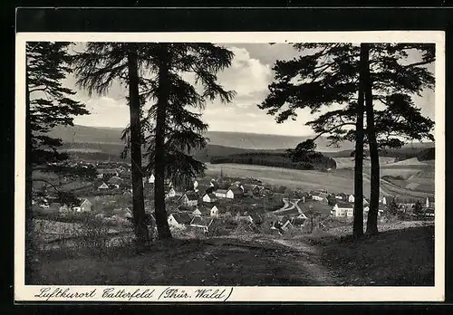 AK Catterfeld / Thür. Wald, Totale vom Berg aus gesehen