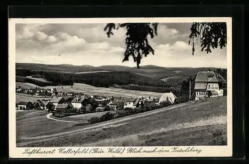 AK Catterfeld / Thür. Wald, Gesamtansicht mit Blick nach dem Inselsberg