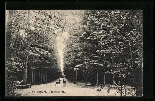 AK Volksdorf, Tannenallee mit Rehe und Hasen