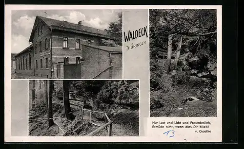 AK Waldeck /Thür., Gasthof zum alten Schloss, Partie im Wald