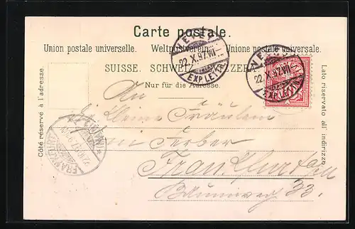 Lithographie Vevey, Teilansicht