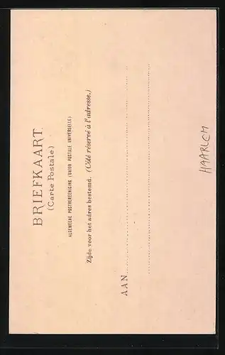 AK Haarlem, Vleeschhal