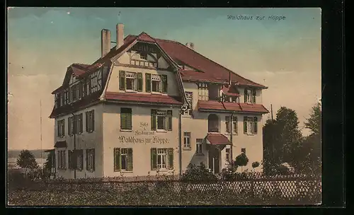 AK Bad Klosterlausnitz, Gasthof Waldhaus zur Koppe