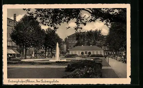 AK Ludwigshafen a. Rh., Ludwigsplatz mit Brunnen