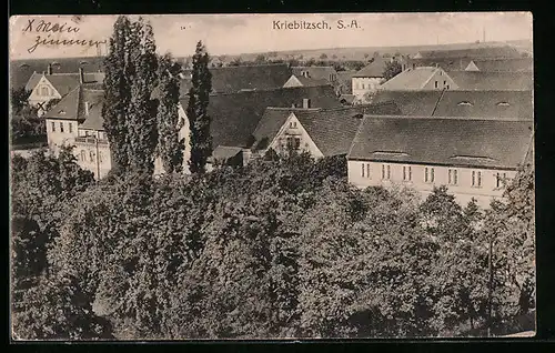 AK Kriebitzsch /S.-A., Ortspartie aus der Vogelschau