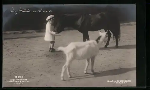 AK Prinz Wilhelm mit Ziege und Pferd