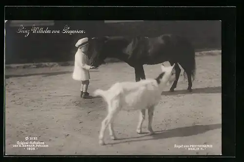 AK Prinz Wilhelm mit Pony und Ziege