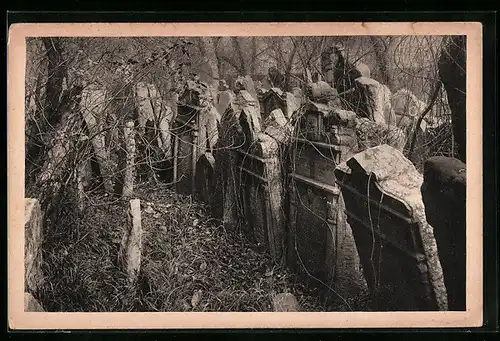 AK Praha, Jüdischer Friedhof