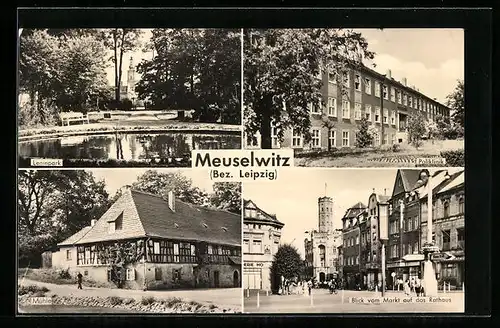 AK Meuselwitz /Bez. Leipzig, Leninpark, Poliklinik, Mühle