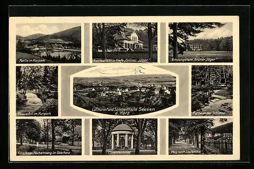 AK Seesen /Harz, Restaurant u. Café Grüner Jäger, Ehrendenkmal, Forsthaus Neckelnberg im Oberharz