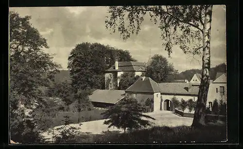 AK Grunewald, Jagd-Schloss mit Birke