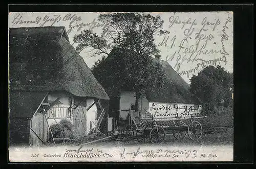 AK Brunshaupten i. M., Bauerngehöft an der See