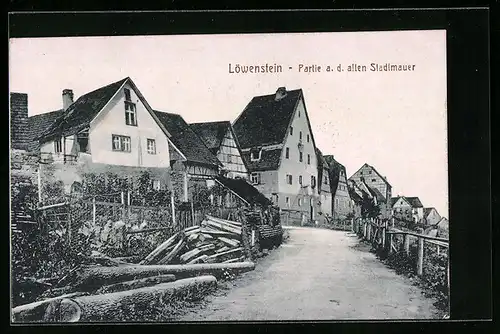 AK Löwenstein, Partie a.d. alten Stadtmauer