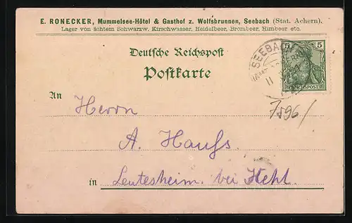 Lithographie Seebach, Gasthof zum Wolfsbrunnen, Blick über den Mummelsee