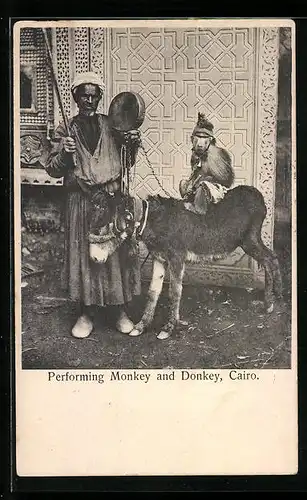 AK Cairo, Performing Monkey and Donkey