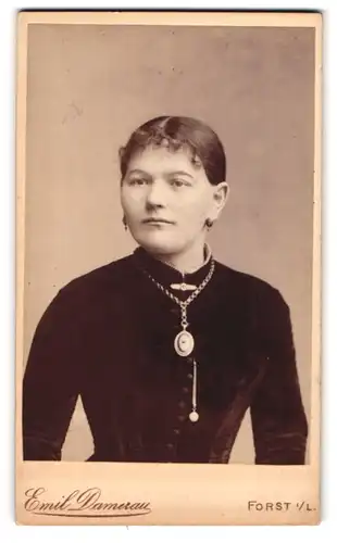 Fotografie Emil Damerau, Forst i. L., Mühlenstr. 36, Portrait schönes Fräulein mit Brosche und eleganter Halskette