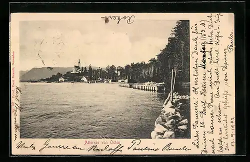 AK Attersee, Uferpartie von Osten gesehen
