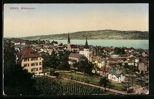 AK Wädenswil, Gesamtansicht des Ortes mit See