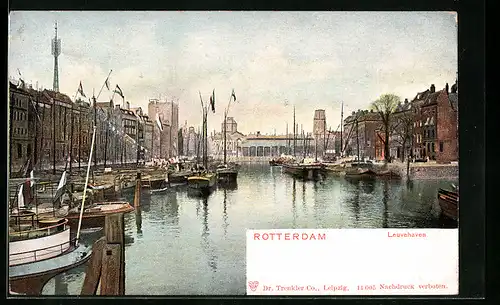 AK Rotterdam, Leuvehaven