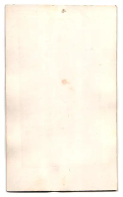 Fotografie unbekannter Fotograf und Ort, älterer Maori Mann im Anzug mit Fliege 1