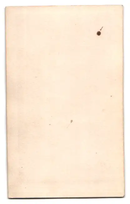 3 Fotografien H. Webster, Auckland, Maori Häuptling mit Taiaha und seinen beiden Frauen 5