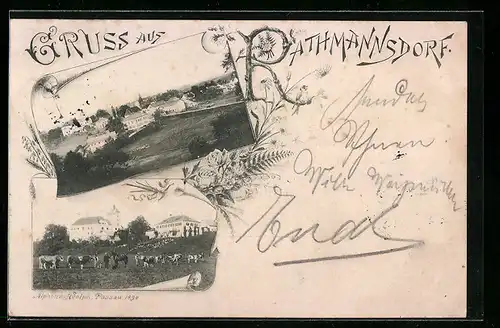 AK Rathsmannsdorf, Gesamtansicht, Vieh-Weide