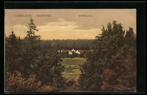 AK Langenleuba-Niederhain, Waldhäuser von fern gesehen