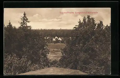 AK Langenleuba-Niederhain, Ortsansicht von einer Anhöhe aus