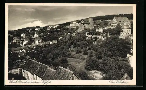 AK Bad Frankenhausen /Kyffh., Der Weinberg