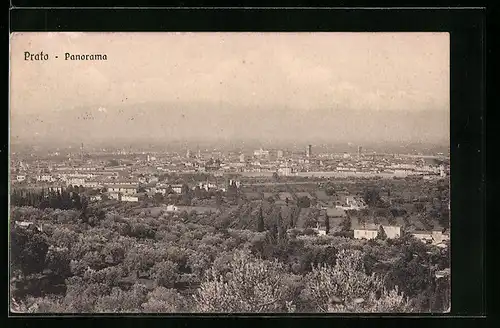 AK Prato, Panorama