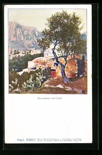 AK Capri, Bauernhaus