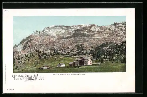AK Plätzwiese, Ortspartie mit Dürrenstein