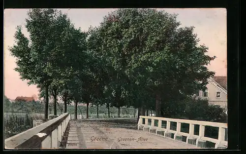 AK Greene, Greenen Allee
