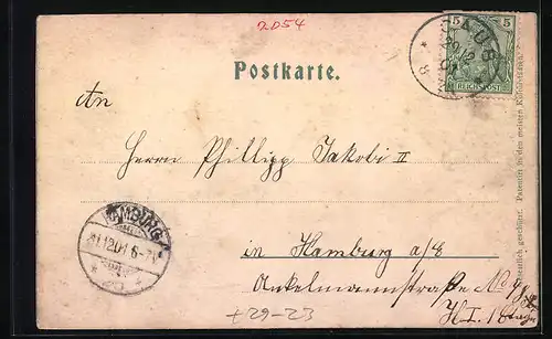 Relief-AK Caub, Ortsansicht mit Pfalz