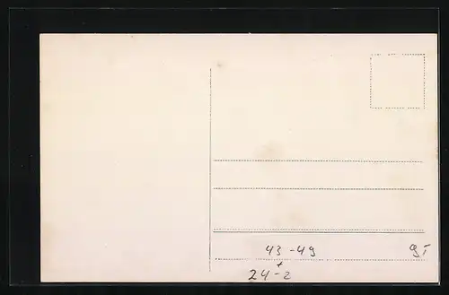 AK Brand der Dresdener Vogelwiese am 2.8.1909